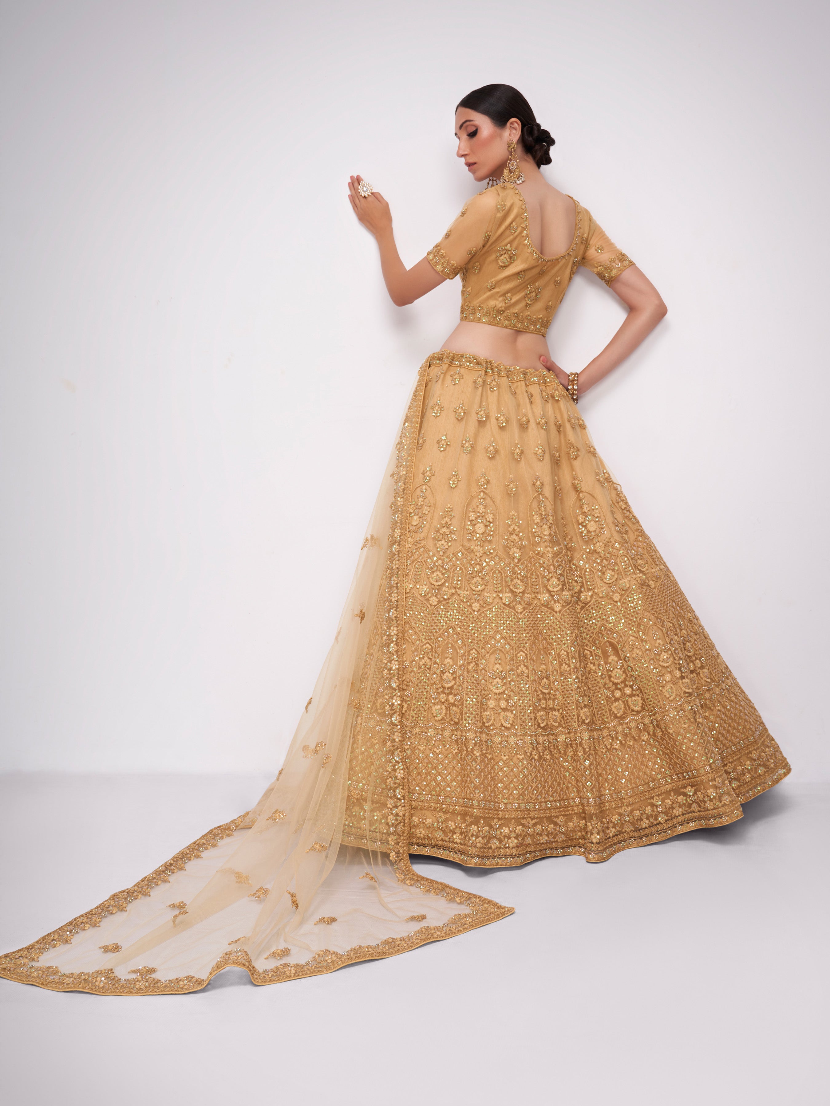 Heavy embroidered lehenga with cancan